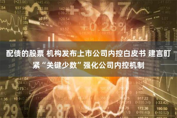 配债的股票 机构发布上市公司内控白皮书 建言盯紧“关键少数”强化公司内控机制