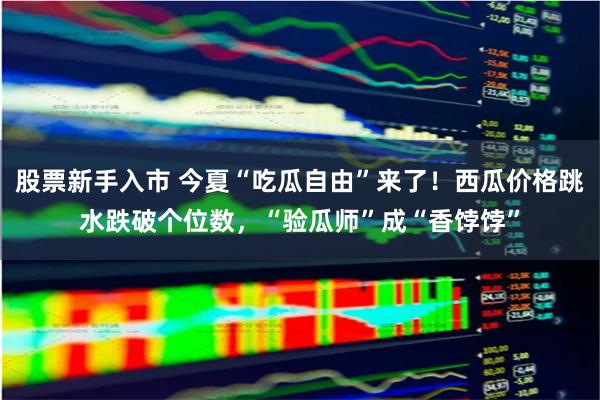 股票新手入市 今夏“吃瓜自由”来了！西瓜价格跳水跌破个位数，“验瓜师”成“香饽饽”