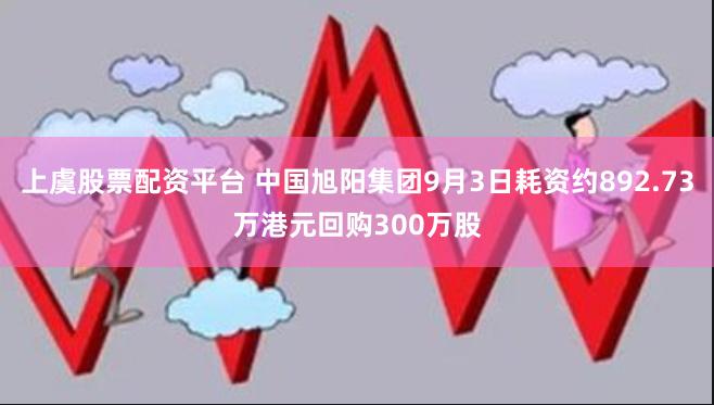 上虞股票配资平台 中国旭阳集团9月3日耗资约892.73万港元回购300万股