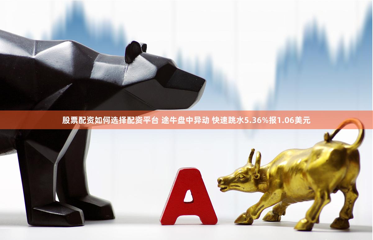 股票配资如何选择配资平台 途牛盘中异动 快速跳水5.36%报1.06美元