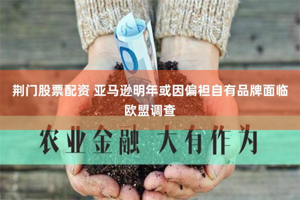 荆门股票配资 亚马逊明年或因偏袒自有品牌面临欧盟调查