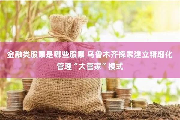 金融类股票是哪些股票 乌鲁木齐探索建立精细化管理“大管家”模式