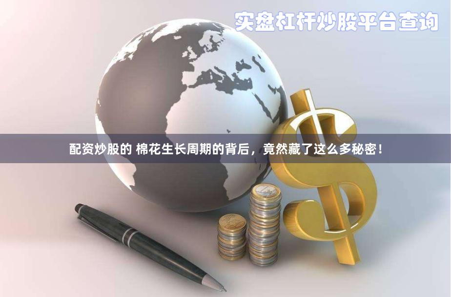 配资炒股的 棉花生长周期的背后，竟然藏了这么多秘密！