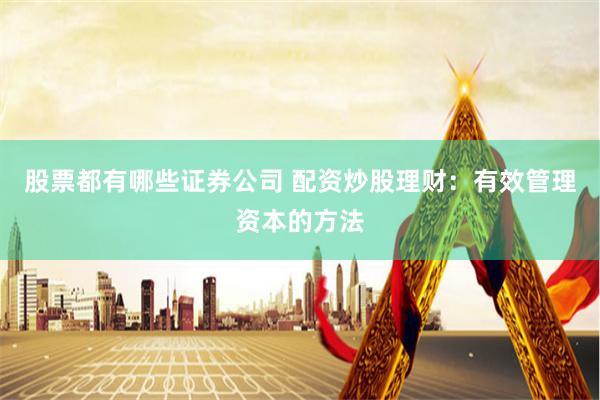 股票都有哪些证券公司 配资炒股理财：有效管理资本的方法